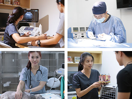 Advanced VetCare