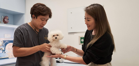 Advanced VetCare